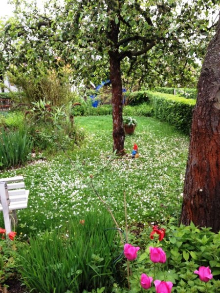 garten1