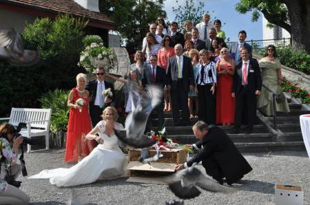 Taube auf Kollisionskurs mit Fotografen (mir)