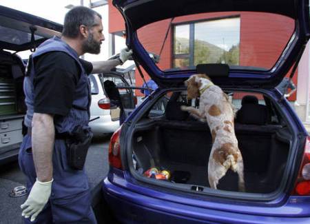 Drogenspürhund im Kofferraum