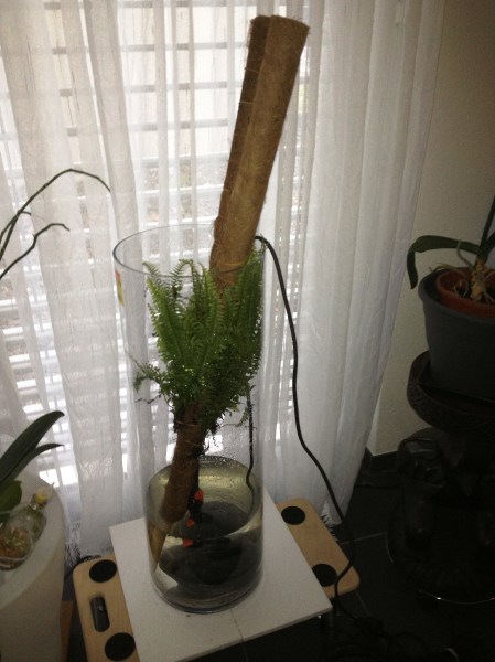Farnsäule fast fertig