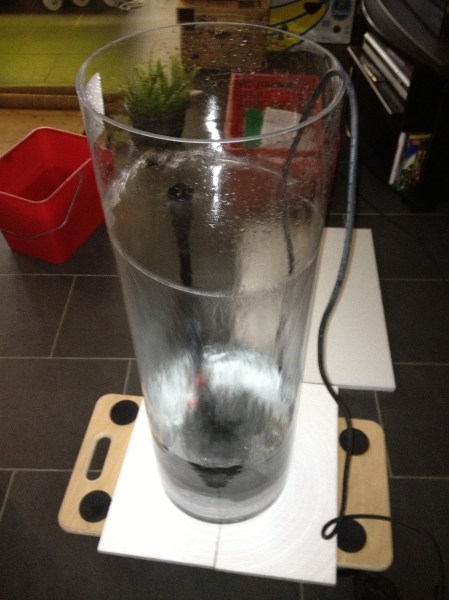 Farnsäule_Glas_Pumpe