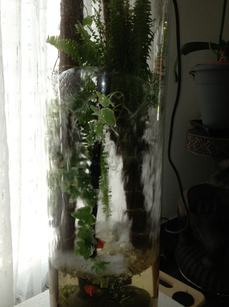 20130901-152048.jpg