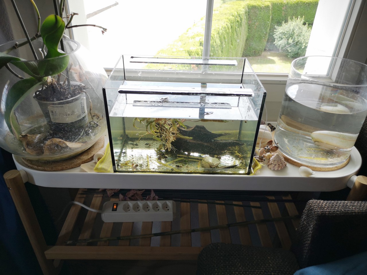 IMG_20200710_123307